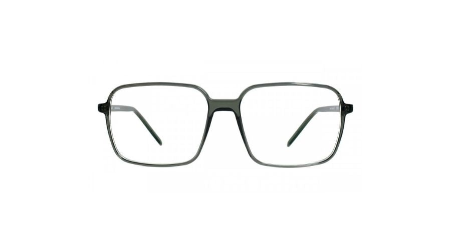 GOTTI STAINES COLOR DTM